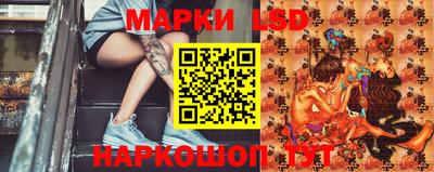 гашик Гай