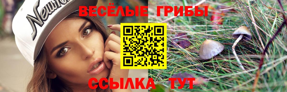 Галлюциногенные грибы мухоморы Воскресенск