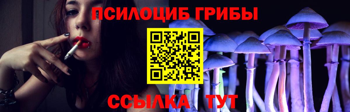 Псилоцибиновые грибы Psilocybe  Вход с VPN  Воскресенск  Галлюциногенные грибы мухоморы 